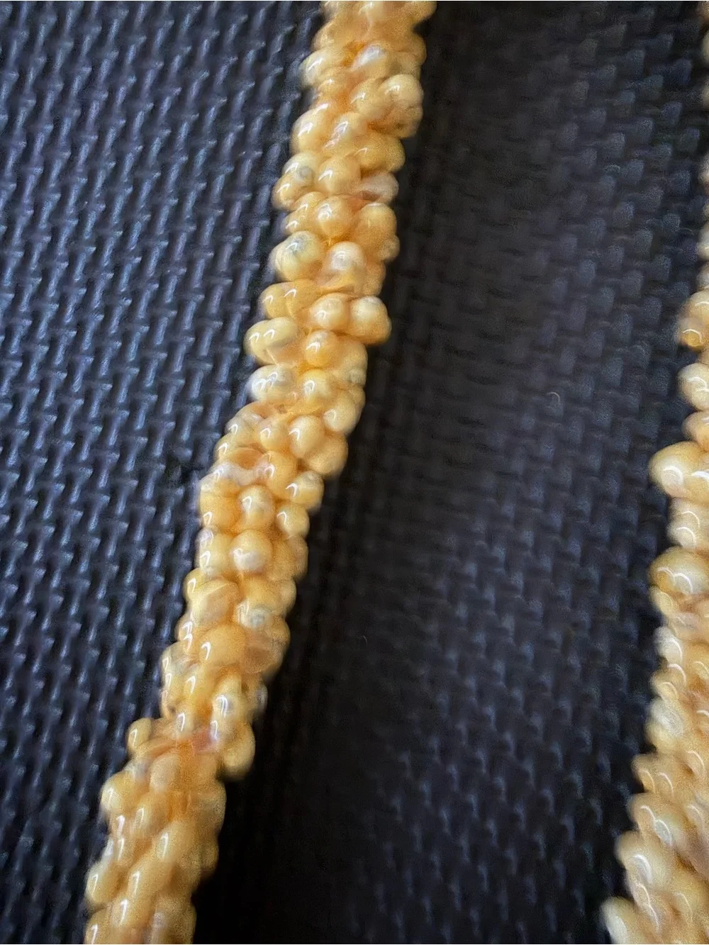 Handcrafted Yellow Shell Lei/Necklace - Authentic from Lahaina, HI